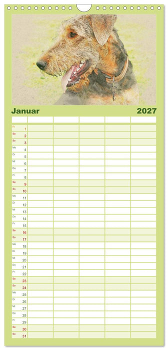 Airedale Terrier 2027 (CALVENDO Familienplaner 2027)