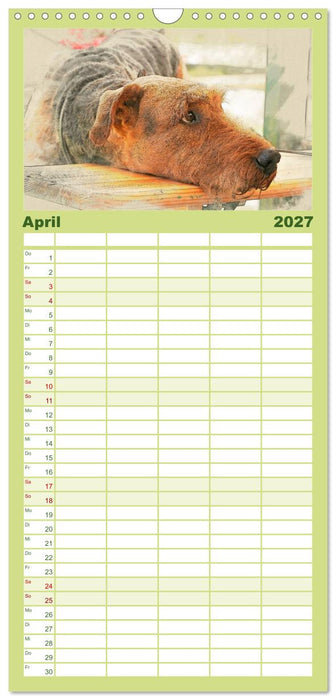 Airedale Terrier 2027 (CALVENDO Familienplaner 2027)