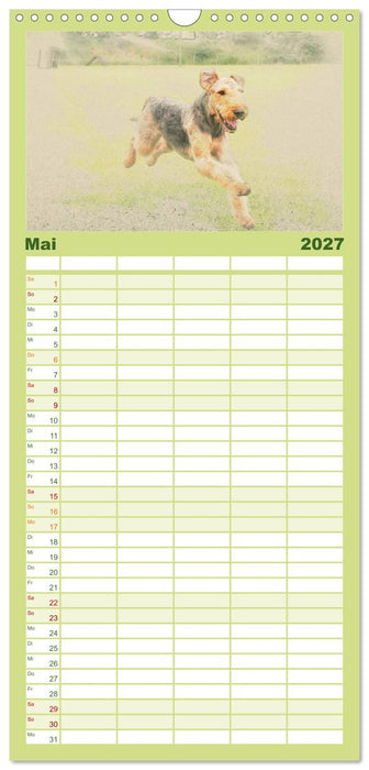 Airedale Terrier 2027 (CALVENDO Familienplaner 2027)