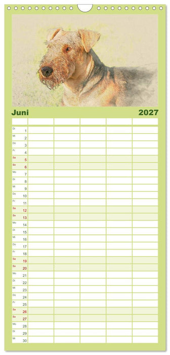 Airedale Terrier 2027 (CALVENDO Familienplaner 2027)