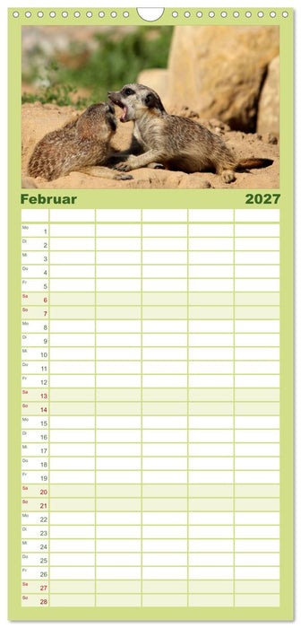 Erdmännchen (CALVENDO Familienplaner 2027)