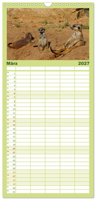 Erdmännchen (CALVENDO Familienplaner 2027)