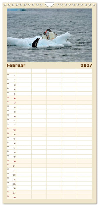 Im Reich der Pinguine (CALVENDO Familienplaner 2027)