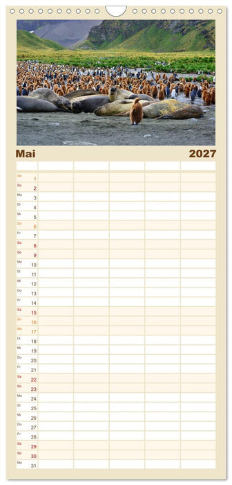 Im Reich der Pinguine (CALVENDO Familienplaner 2027)