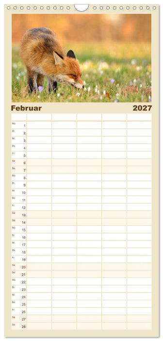 Auf den Spuren der Stadtfüchse (CALVENDO Familienplaner 2027)