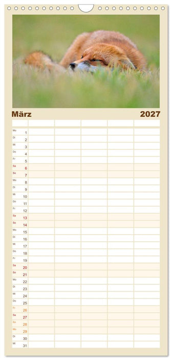 Auf den Spuren der Stadtfüchse (CALVENDO Familienplaner 2027)