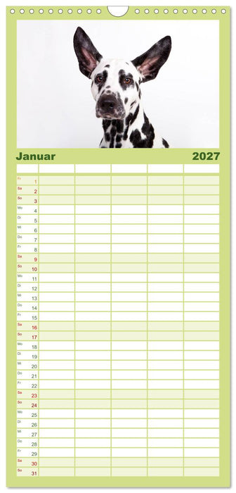 "SCHLAPPOHREN" (CALVENDO Familienplaner 2027)