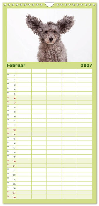 "SCHLAPPOHREN" (CALVENDO Familienplaner 2027)
