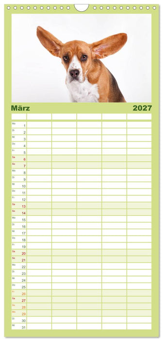 "SCHLAPPOHREN" (CALVENDO Familienplaner 2027)