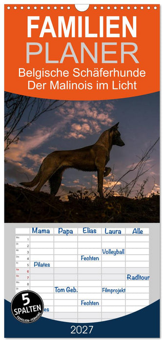 Belgische Schäferhunde - Der Malinois im Licht (CALVENDO Familienplaner 2027)