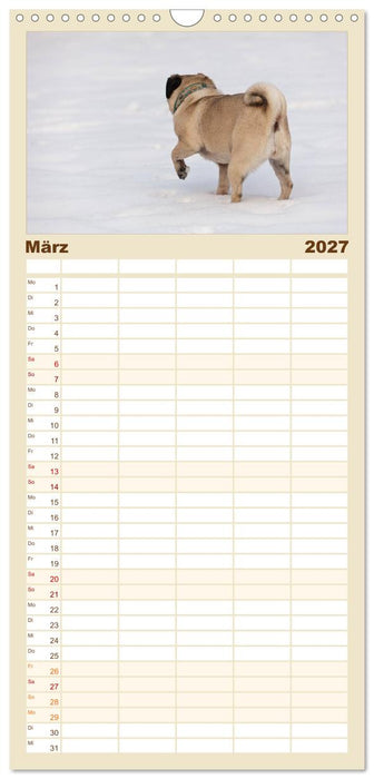 Mops (CALVENDO Familienplaner 2027)