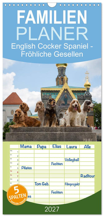 English Cocker Spaniel - Fröhliche Gesellen (CALVENDO Familienplaner 2027)