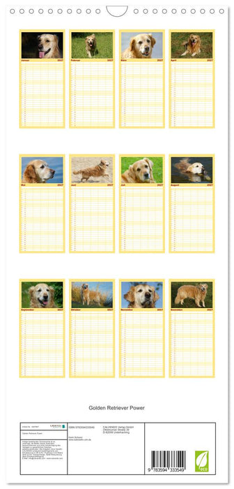 Golden Retriever Power (CALVENDO Familienplaner 2027)