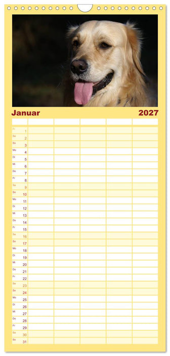 Golden Retriever Power (CALVENDO Familienplaner 2027)