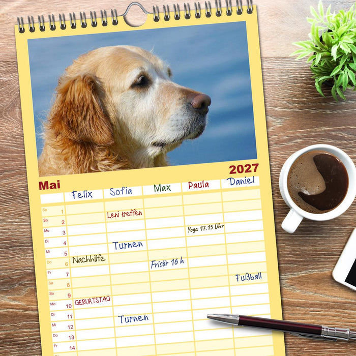 Golden Retriever Power (CALVENDO Familienplaner 2027)