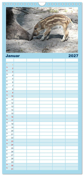 Tierische Schweinerei (CALVENDO Familienplaner 2027)
