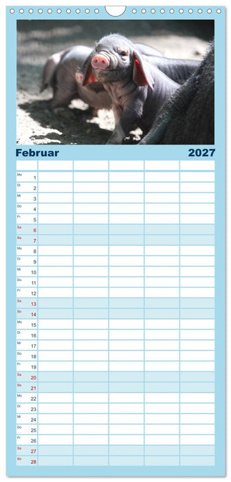 Tierische Schweinerei (CALVENDO Familienplaner 2027)