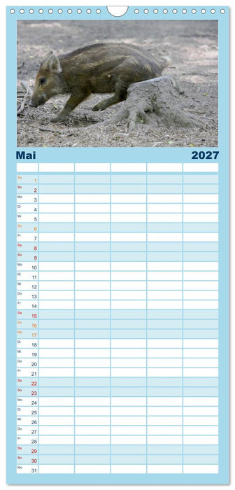 Tierische Schweinerei (CALVENDO Familienplaner 2027)