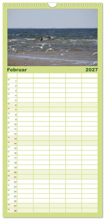 Texel, eine Perle Frieslands (CALVENDO Familienplaner 2027)