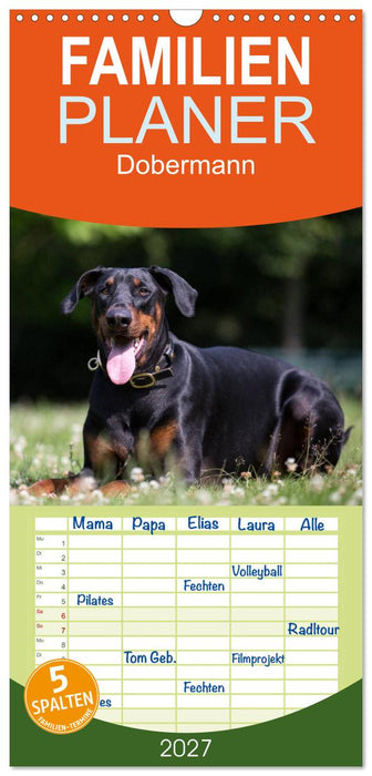 Dobermann (CALVENDO Familienplaner 2027)