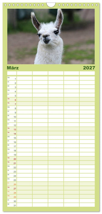 Lama-Kalender (CALVENDO Familienplaner 2027)