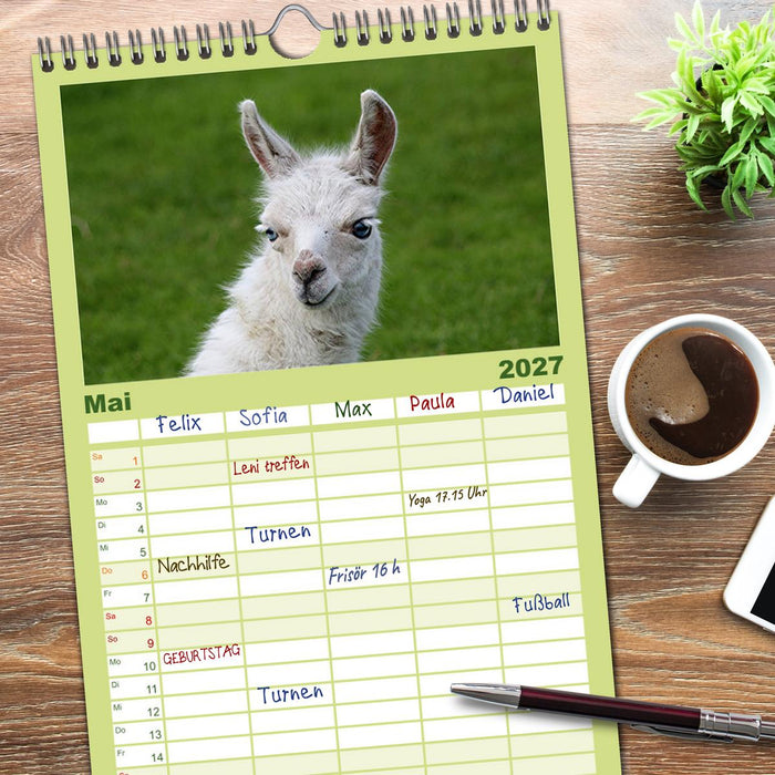 Lama-Kalender (CALVENDO Familienplaner 2027)