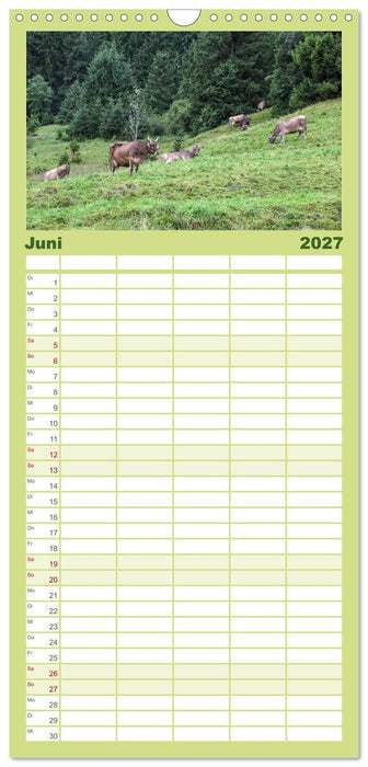 Allgäu - Natur pur (CALVENDO Familienplaner 2027)