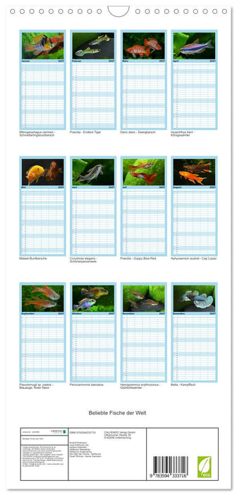 Beliebte Fische der Welt (CALVENDO Familienplaner 2027)