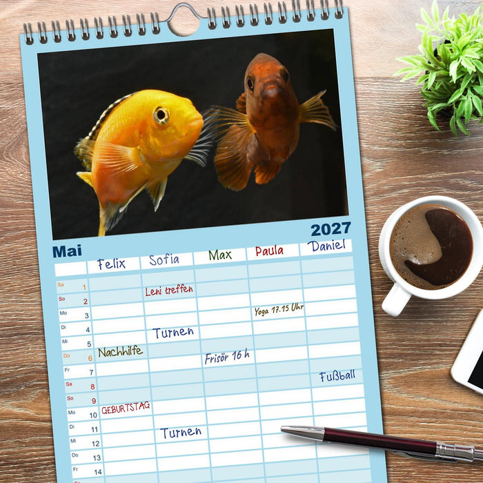 Beliebte Fische der Welt (CALVENDO Familienplaner 2027)