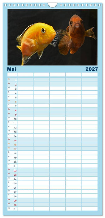Beliebte Fische der Welt (CALVENDO Familienplaner 2027)