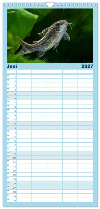 Beliebte Fische der Welt (CALVENDO Familienplaner 2027)