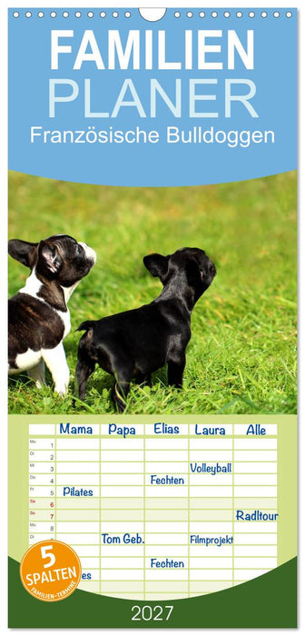 Französische Bulldoggen (CALVENDO Familienplaner 2027)