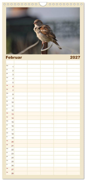 Spatzen (CALVENDO Familienplaner 2027)