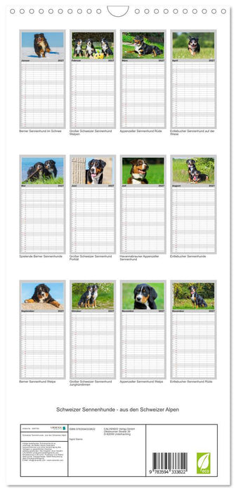 Schweizer Sennenhunde - aus den Schweizer Alpen (CALVENDO Familienplaner 2027)