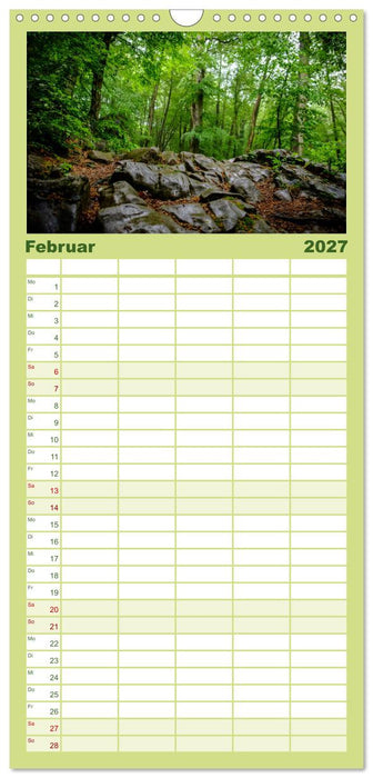 Wege des einfachen Glücks - Spaziergänge im Wald (CALVENDO Familienplaner 2027)