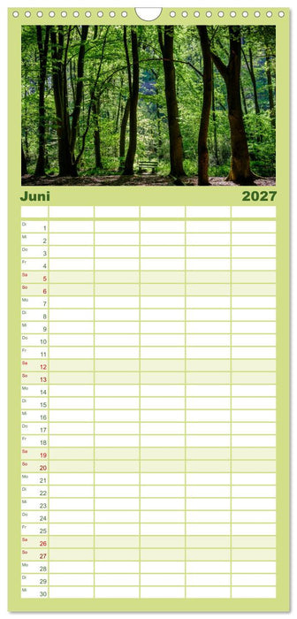 Wege des einfachen Glücks - Spaziergänge im Wald (CALVENDO Familienplaner 2027)