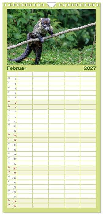 Costa Rica tierisch gut (CALVENDO Familienplaner 2027)