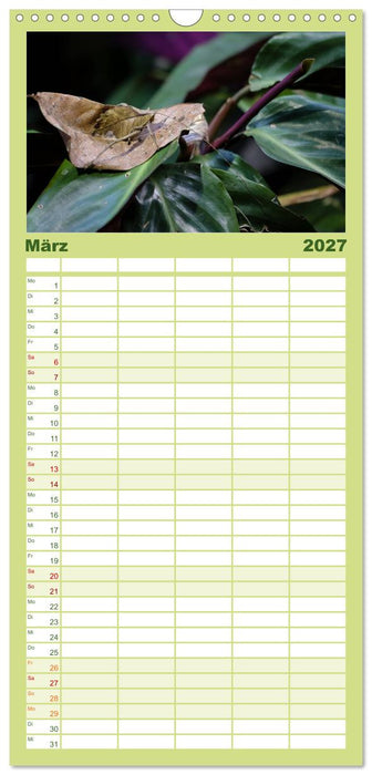 Costa Rica tierisch gut (CALVENDO Familienplaner 2027)