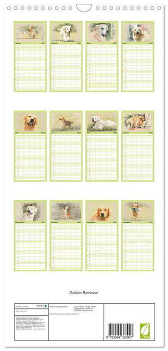 Golden Retriever (CALVENDO Familienplaner 2027)