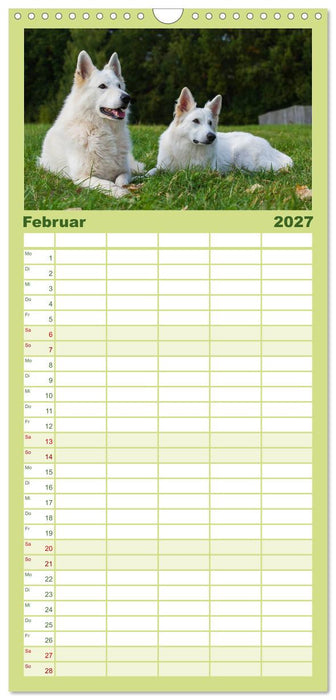 Weißer Schweizer Schäferhund - Ein Tag im Leben einer Hundefamilie (CALVENDO Familienplaner 2027)