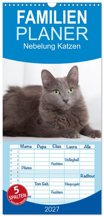 Nebelung Katzen (CALVENDO Familienplaner 2027)