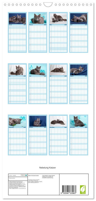 Nebelung Katzen (CALVENDO Familienplaner 2027)
