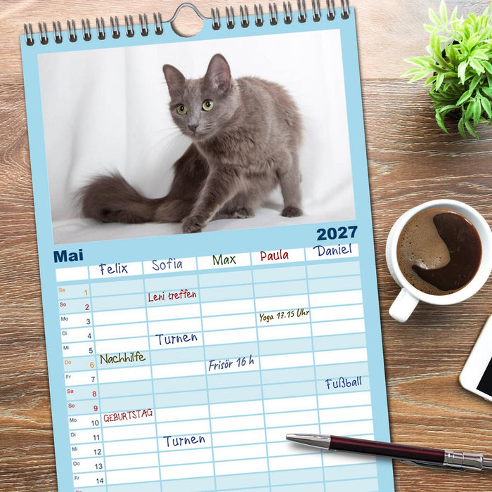 Nebelung Katzen (CALVENDO Familienplaner 2027)