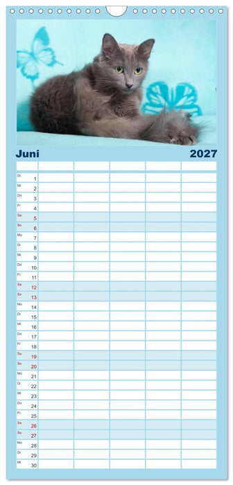 Nebelung Katzen (CALVENDO Familienplaner 2027)