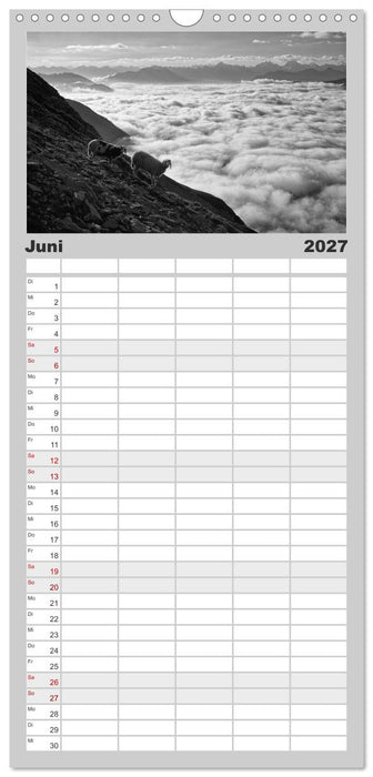 Bergsucht 2027 (CALVENDO Familienplaner 2027)