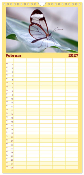 Faszinierende Welt der Schmetterlinge (CALVENDO Familienplaner 2027)