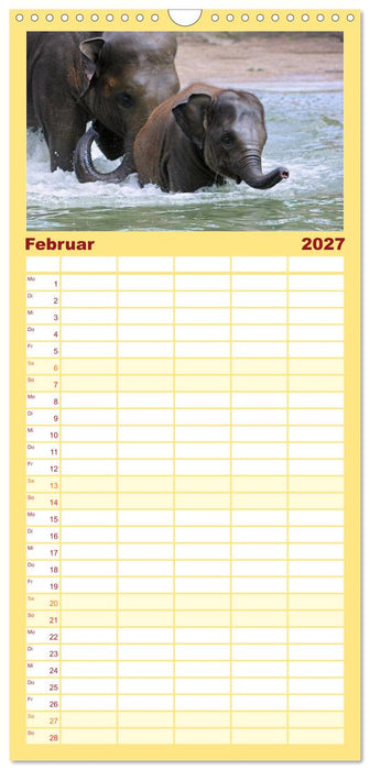 Elefanten. Badespaß am Strand (CALVENDO Familienplaner 2027)