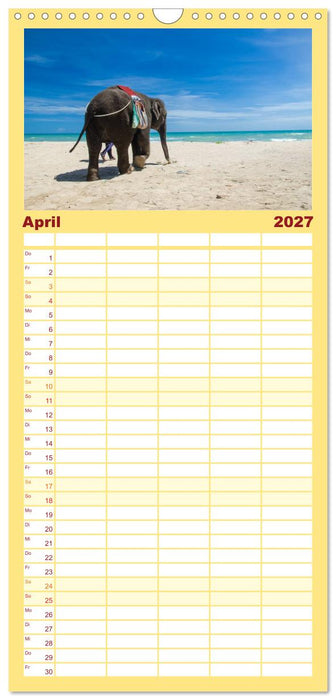 Elefanten. Badespaß am Strand (CALVENDO Familienplaner 2027)
