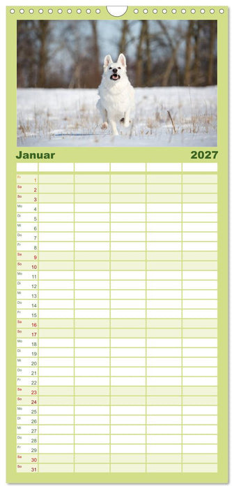 POWERHUNDE 2027 (CALVENDO Familienplaner 2027)