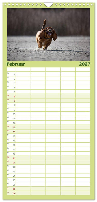 POWERHUNDE 2027 (CALVENDO Familienplaner 2027)